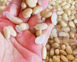 57℃ 手作り白みそ：奥深い甘味作り方5写真