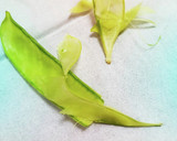 捨てないで！うすいえんどう鞘のかき揚げ作り方1写真