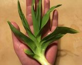 美味しい野草♪ノカンゾウの卵炒め作り方1写真