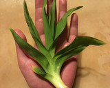 美味しい野草♪ノカンゾウの卵炒め作り方1写真