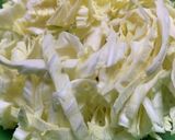 旨味たっぷりキャベツサラダ作り方1写真