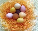 味玉　カラフル卵の鳥の巣サラダ作り方11写真