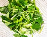 ポリ袋で簡単!三つ葉とささみの梅和え作り方3写真