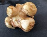 菊芋とツナ缶の甘辛炒め作り方1写真