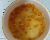 甘夏ピール作り方11写真