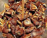 カメノテのあっさり煮作り方1写真