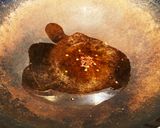 インゲンときゅうりのサラダ☆胡麻味噌花椒作り方6写真