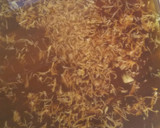 泉州なすで簡単めんつゆの焼き浸し作り方1写真