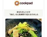 小松菜と昔あげ(油揚げ)のお浸し作り方7写真