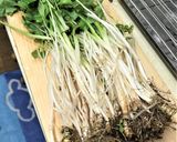 春の優秀野菜♪「根三つ葉のお浸し」作り方1写真