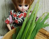 リカちゃん♡ホルモン鍋(牛ホルしょうゆ)作り方5写真