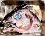こってり旨い！マグロの頭&カマの煮つけ！作り方16写真