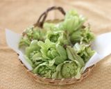 ふきのとうの天ぷらうどん作り方1写真