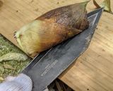 米ヌカ不要。タケノコの掘り方と保存方法作り方7写真