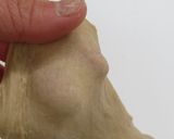 レーズンとナッツの全粒粉スティックパン作り方5写真
