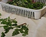 山菜のてんぷら作り方1写真