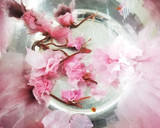 桜の香り♪お祭り気分ちらし寿司作り方2写真