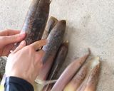 たけのこのあく抜き作り方1写真