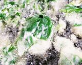 お年寄り絶賛シリーズ☆タラの芽・畑山葵☆作り方5写真