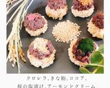 のせるだけ! 玄米おはぎ作り方4写真
