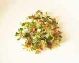 いちごのへた茶作り方2写真