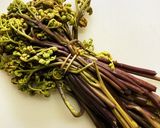 ワラビの水煮冷凍保存作り方2写真