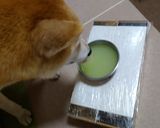 ヤギの粉ミルクで作るチーズもどき作り方7写真