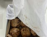 チョコチップ入りホットクロスバンズ作り方12写真