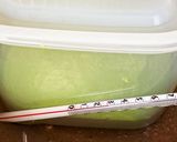 抹茶のミニ食パン作り方6写真