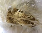 レンチンで簡単☆節約☆一風堂的もやし和え作り方5写真