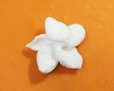 〜餃子の皮でパリパリお菓子〜作り方6写真