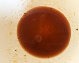 海の幸★タコと真鯛とマグロのセビーチェ作り方3写真