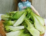 リカちゃん♡子宝菜入中華野菜あんかけ炒め作り方2写真