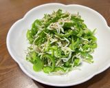 【簡単】しらすピーマン作り方3写真