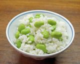 ずんだ（枝豆）ご飯作り方8写真