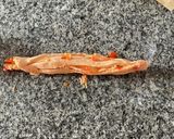 スイートトマトロール作り方5写真