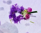 チャイブサラダ♪作り方2写真