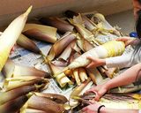 お年寄り絶賛シリーズ☆竹の子☆煮物☆作り方8写真