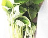 朝採り蕗の 蕗味噌豆腐とサラダ作り方1写真