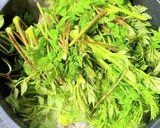 ごはんがすすむ！タラの芽と豚バラ炒め作り方4写真