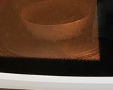 ごはんのお供＊万能ねぎだれ作り方8写真