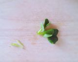 ピックなしでもꕤ*葉付き ミニトマト♡作り方3写真