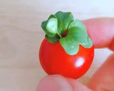 ピックなしでもꕤ*葉付き ミニトマト♡作り方5写真