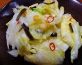 ヘルシー！塩分少なめ♪あっさり白菜漬け！作り方7写真