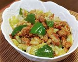 簡単☆柔らか豚肉の回鍋肉作り方13写真