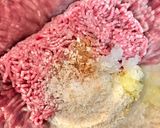 裏表焼いても外れない！ピーマンの肉詰め作り方4写真