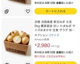 淡路島産ブランド玉ねぎ七宝で甘辛カレー🍛作り方1写真
