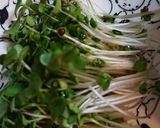 冷製*豚バラ肉の野菜巻き作り方3写真