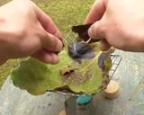 アボカドの葉葉茶作り方5写真