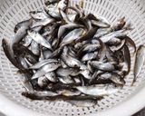 豆アジの唐揚げ作り方1写真